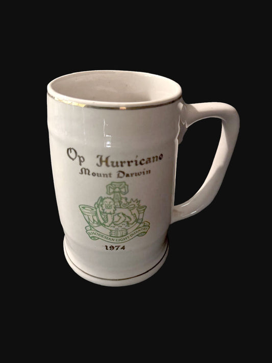 Op Hurricane, Mount Darwin Beer Mug - Large