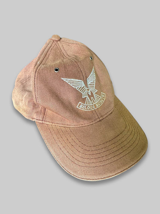 SSRA Cap2 - Dale Collett