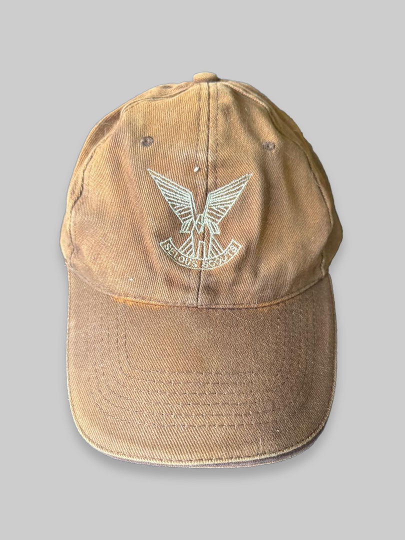 SSRA Cap1 - Dale Collett