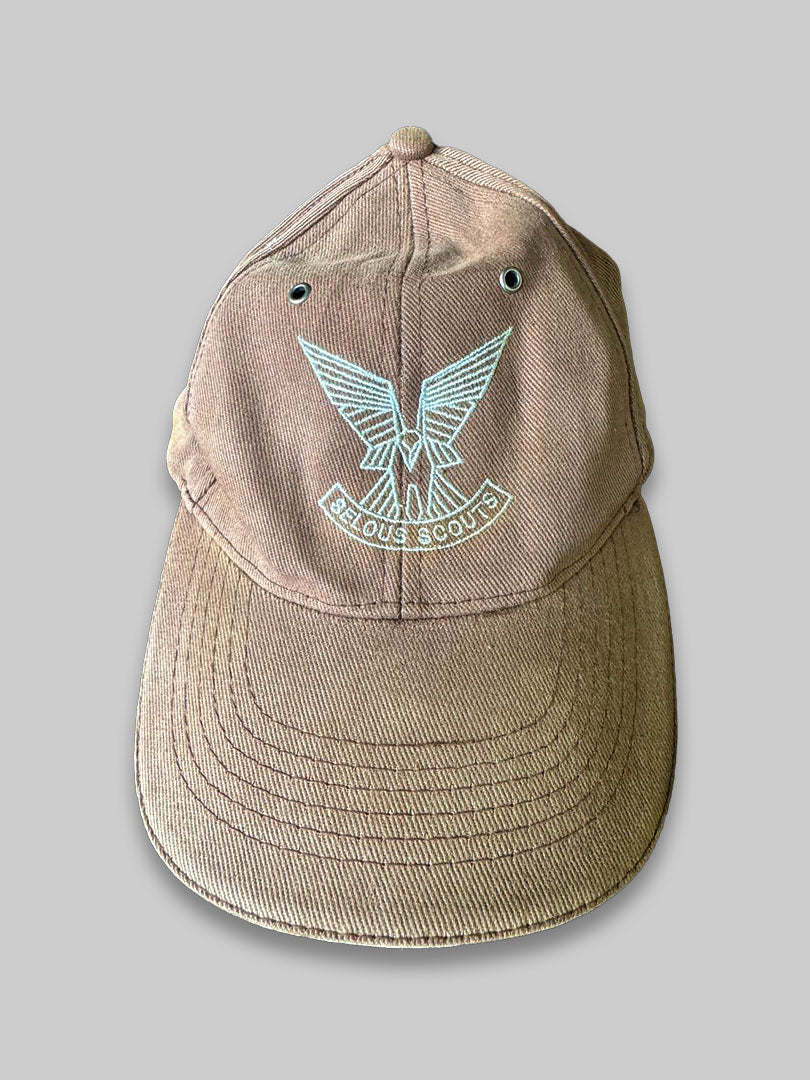 SSRA Cap2 - Dale Collett